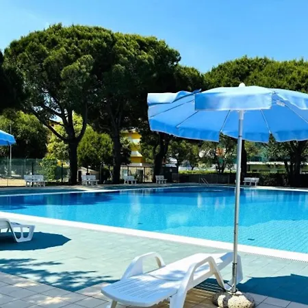 In An Amazing Bibione