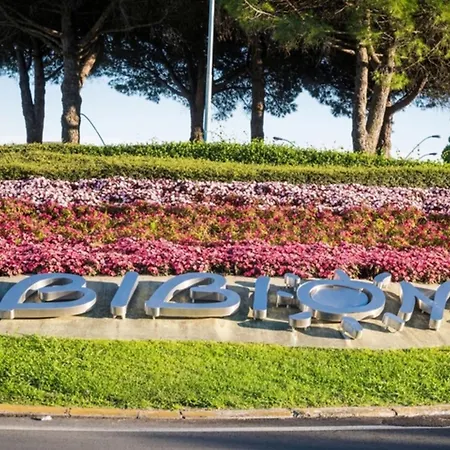 In An Amazing Bibione